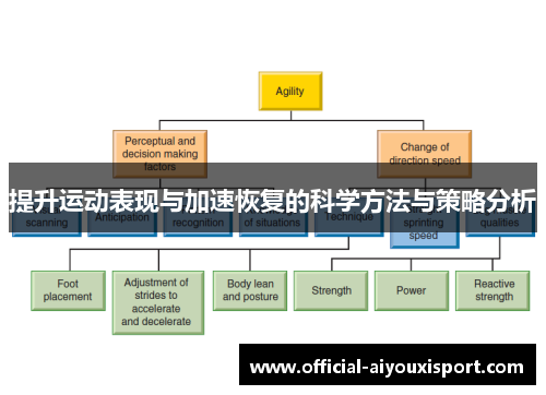 提升运动表现与加速恢复的科学方法与策略分析